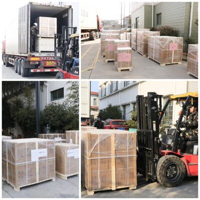 Pompe électrique à membrane de 2 pouces avec moteur antidéflagrant, débit de 10,5 m³/h pour applications basse pression