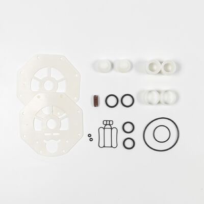 Pompe pneumatique à double membrane en plastique résistant aux acides pour le transport des eaux usées et la manipulation de produits chimiques